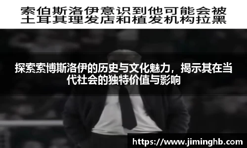 探索索博斯洛伊的历史与文化魅力，揭示其在当代社会的独特价值与影响